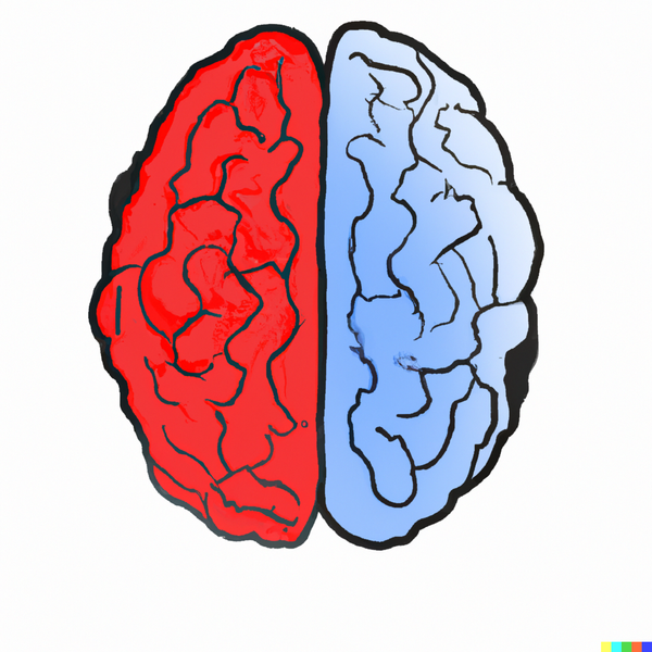 Should you trust your gut? It's complicated.